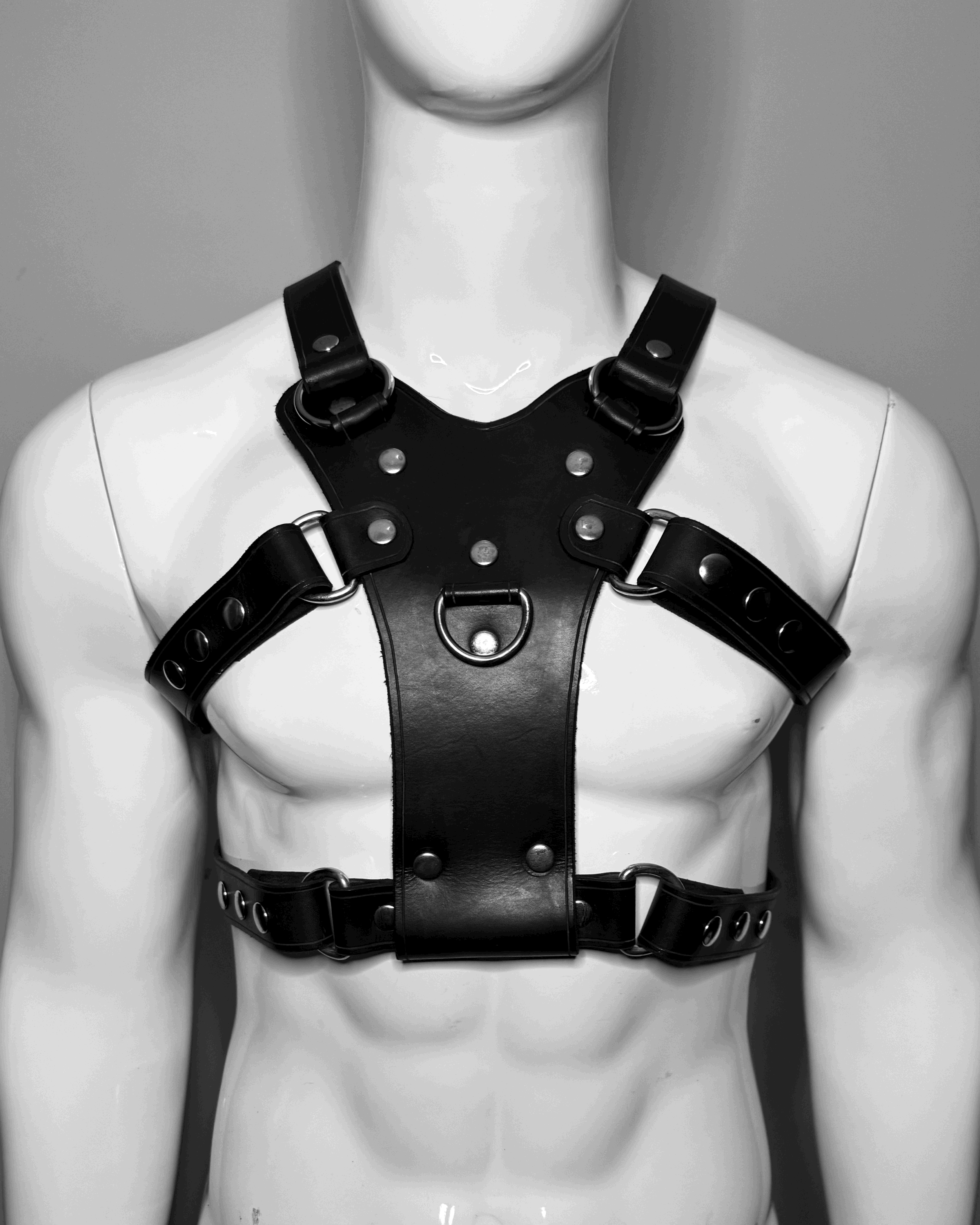 PITBULL HARNESS