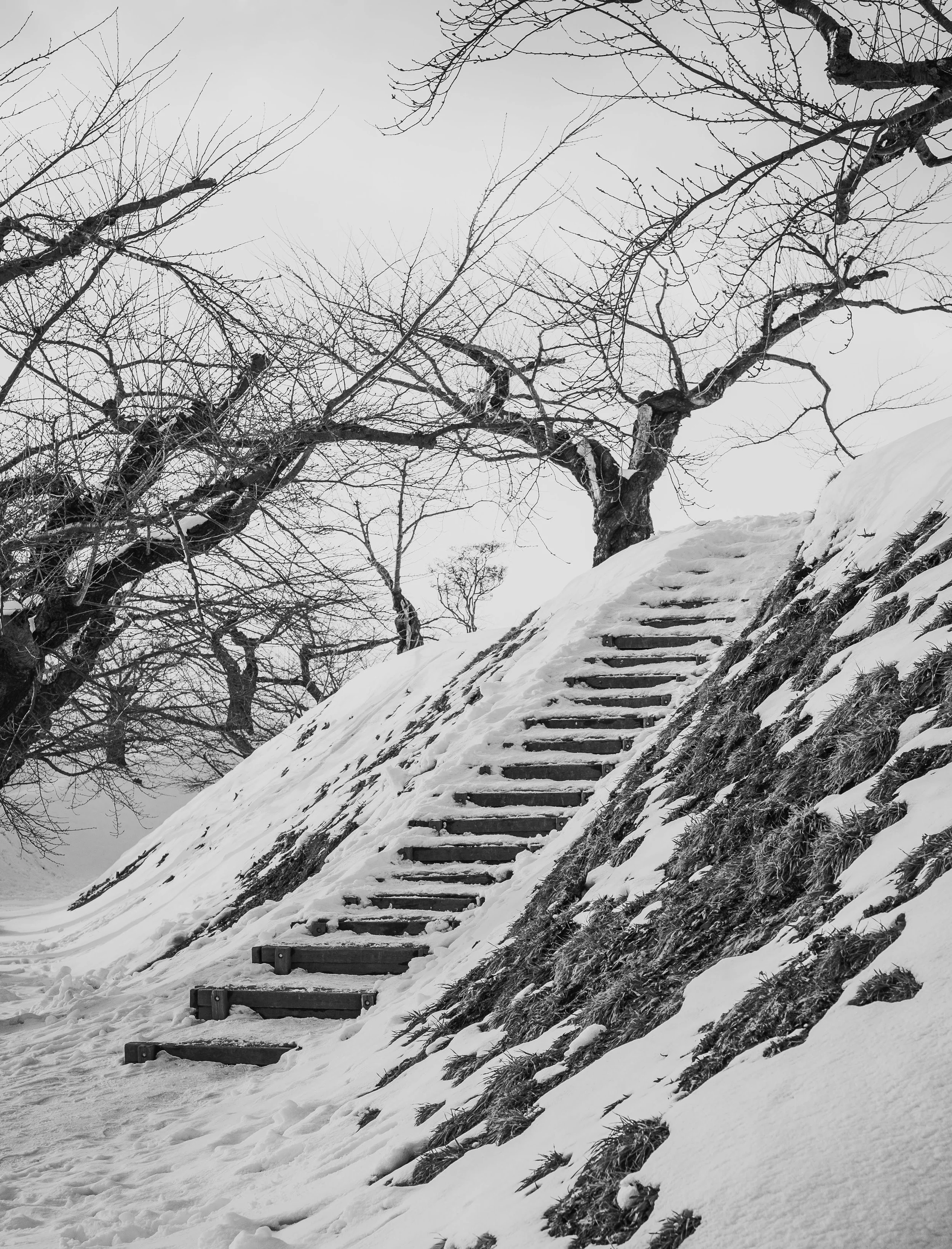 20190104-DSCF4940.jpg