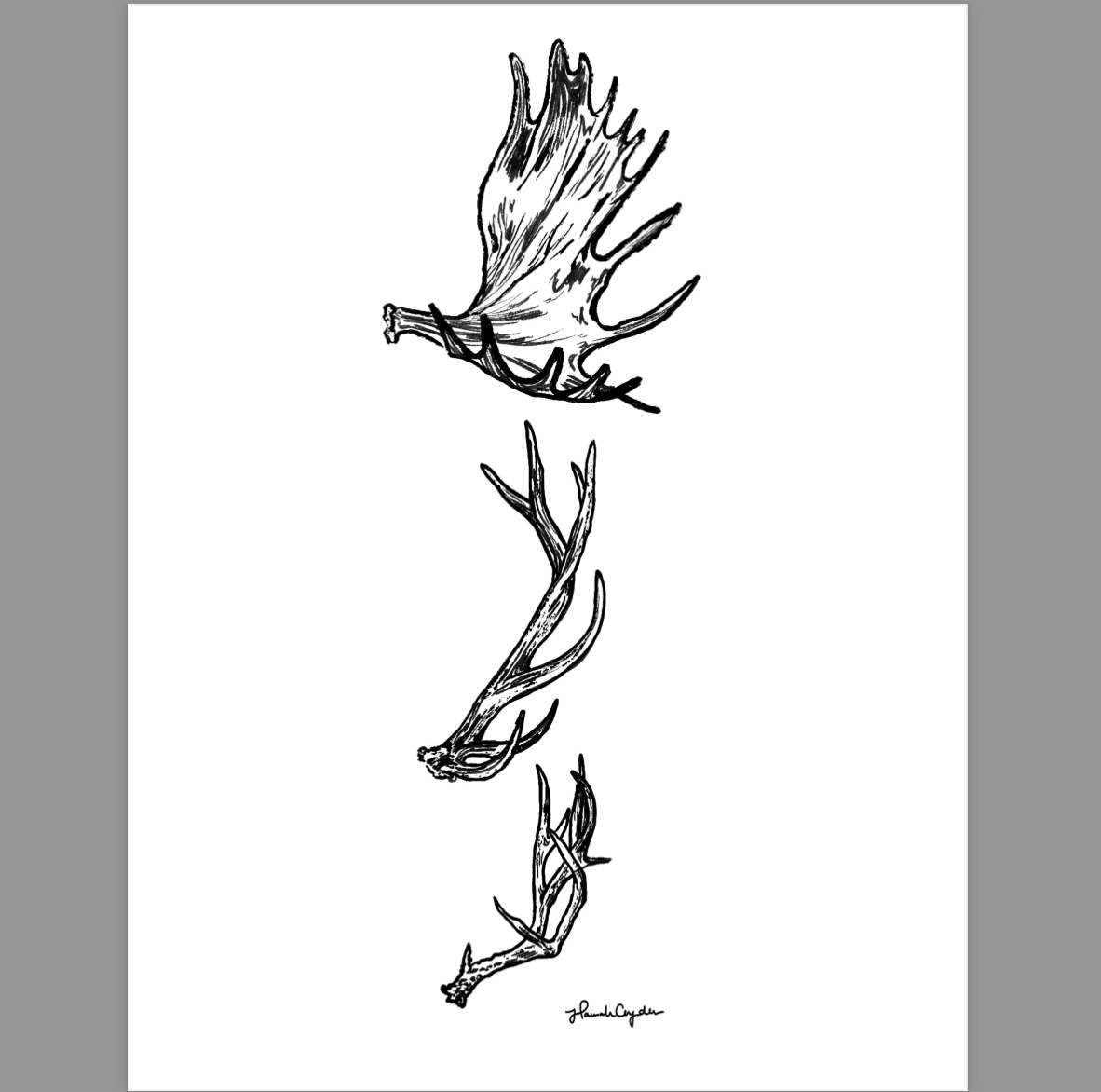 Screen Shot 2026-03-04 at 8.56.17 PM.png