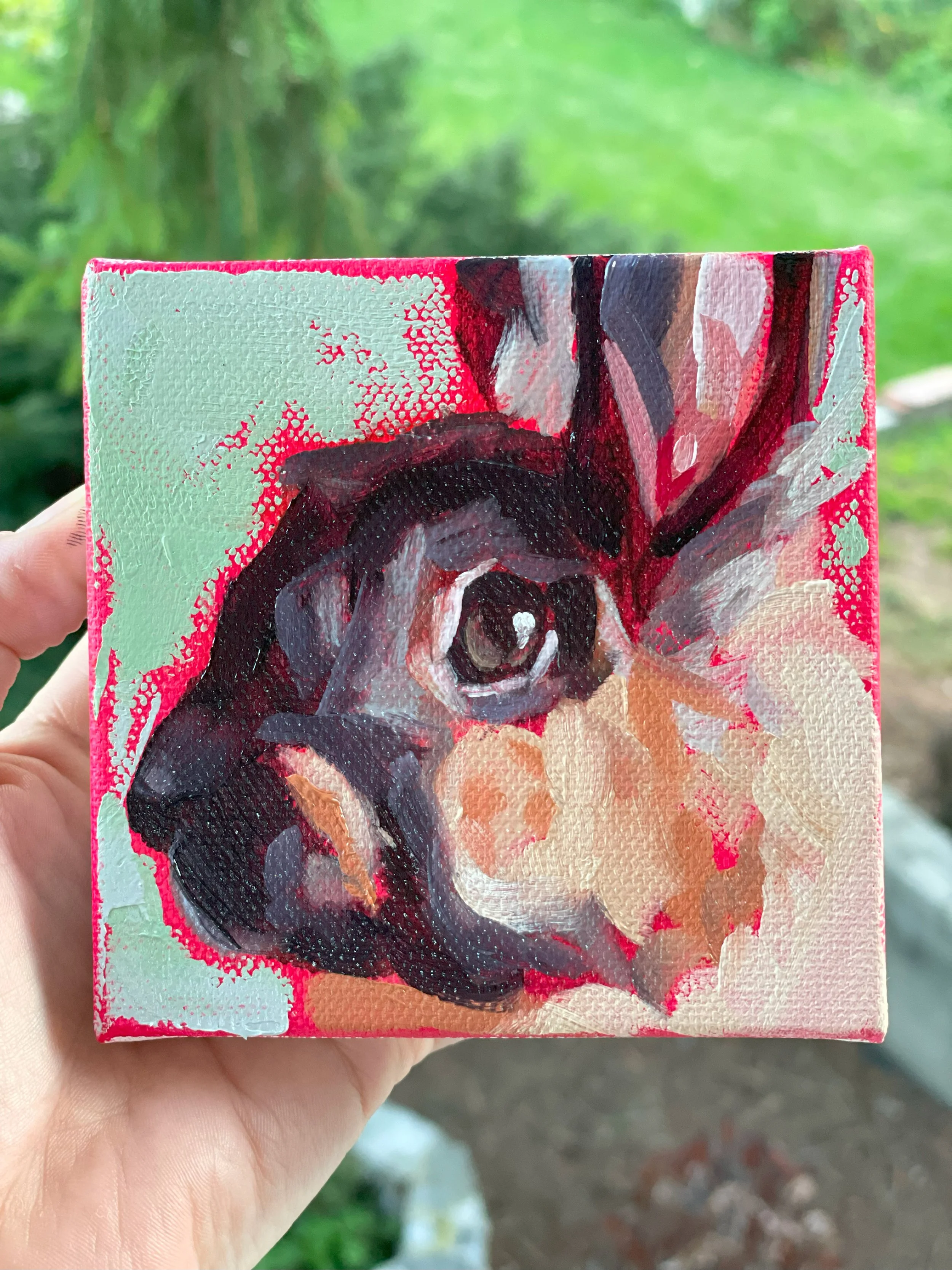 Quick Bunny.jpg
