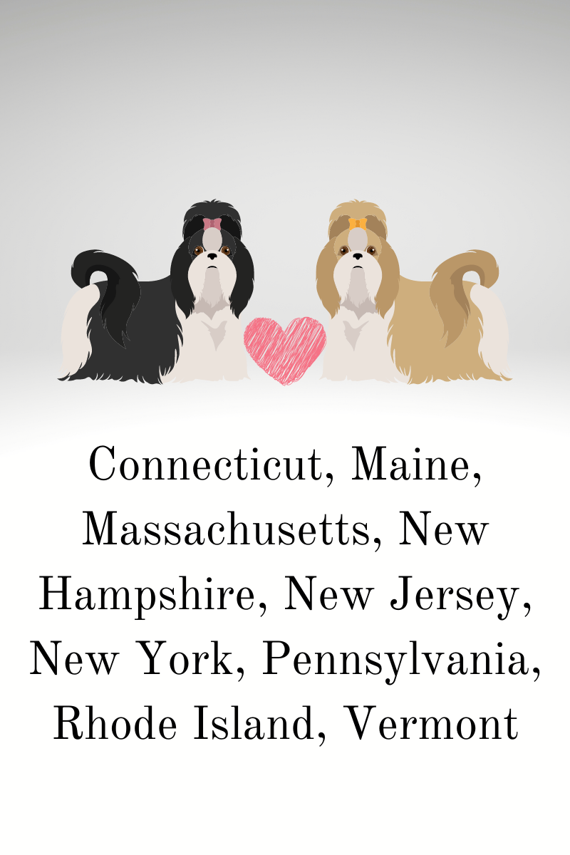 Upcoming Litters...Northeast US States