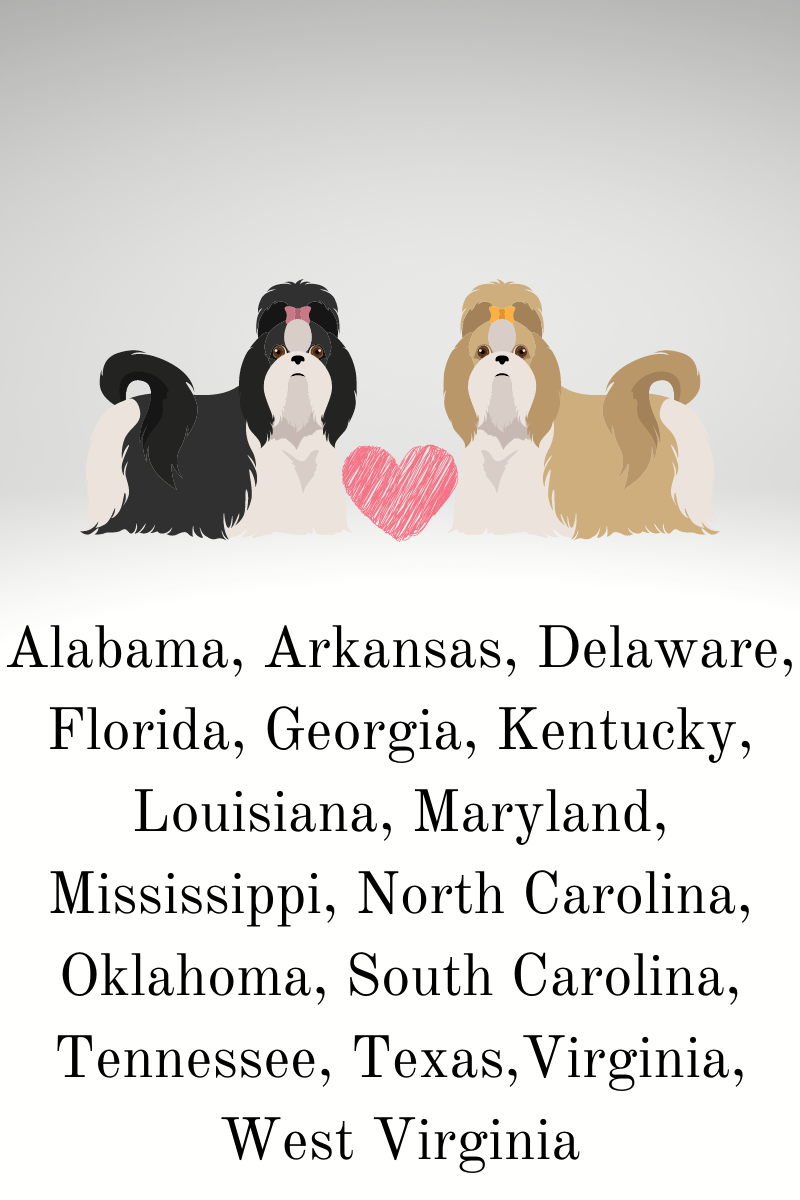 Upcoming Litters...South US States