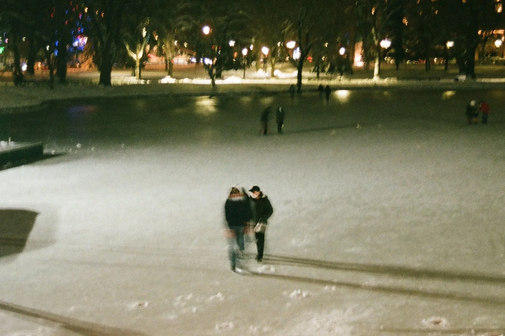 Patrons of a Frozen lake in Boston, 2020