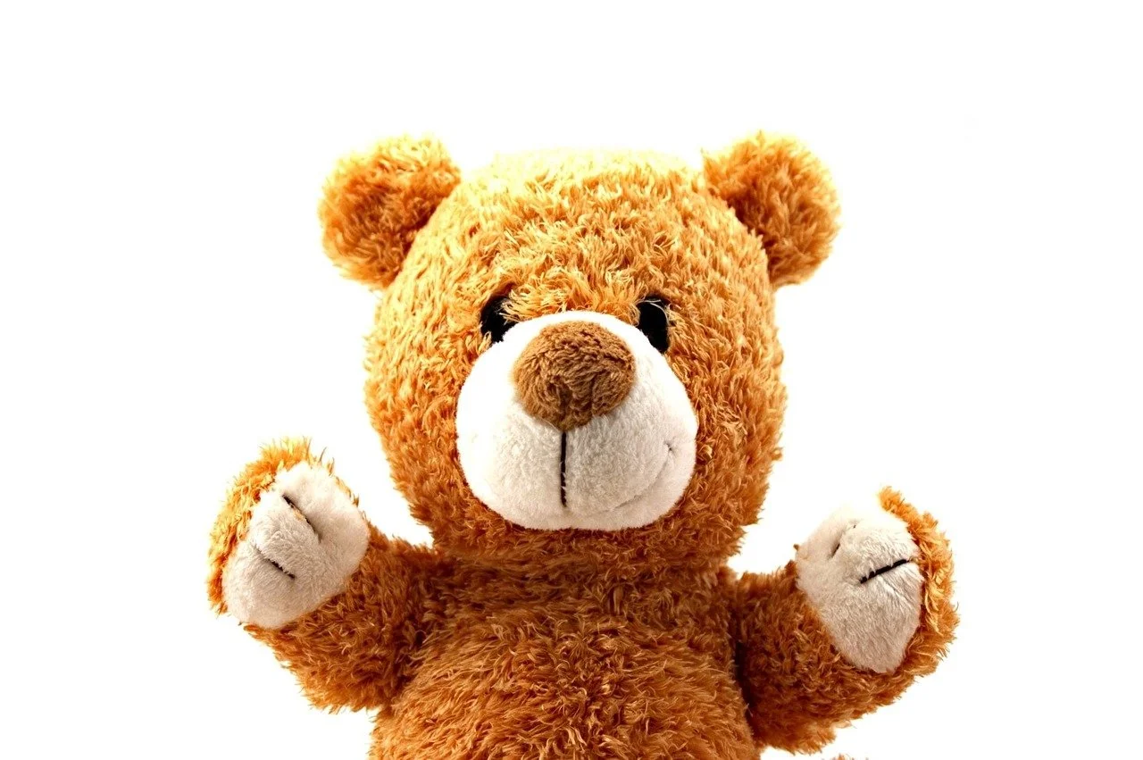 Teddy Bear.jpg