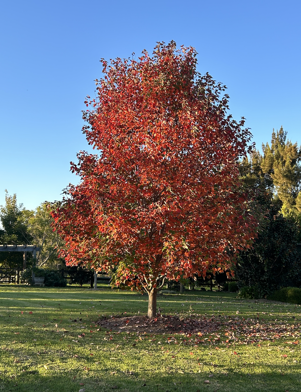 Day four - surrender is a rebirth