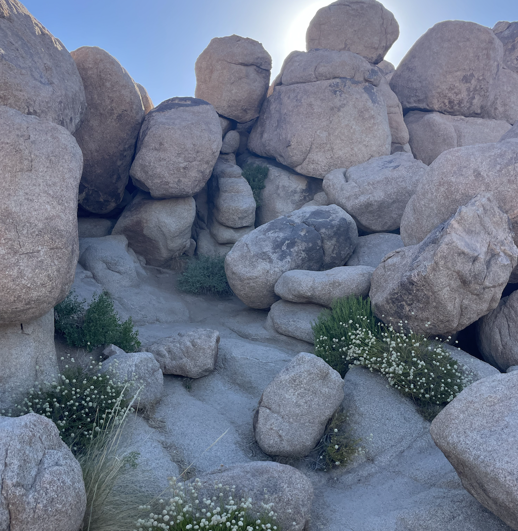 Day five - surrender to yourself