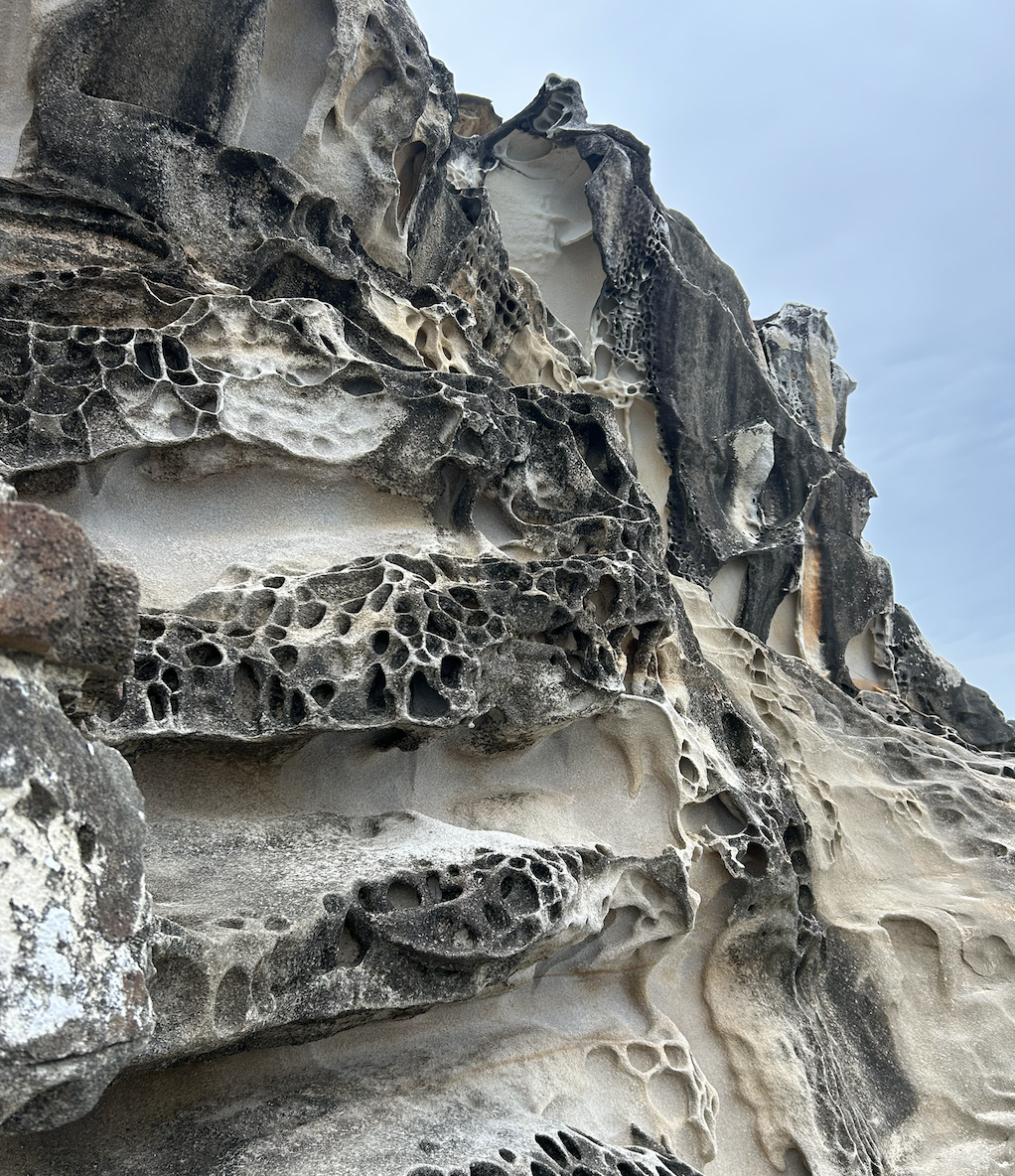 Day six - it bodes well