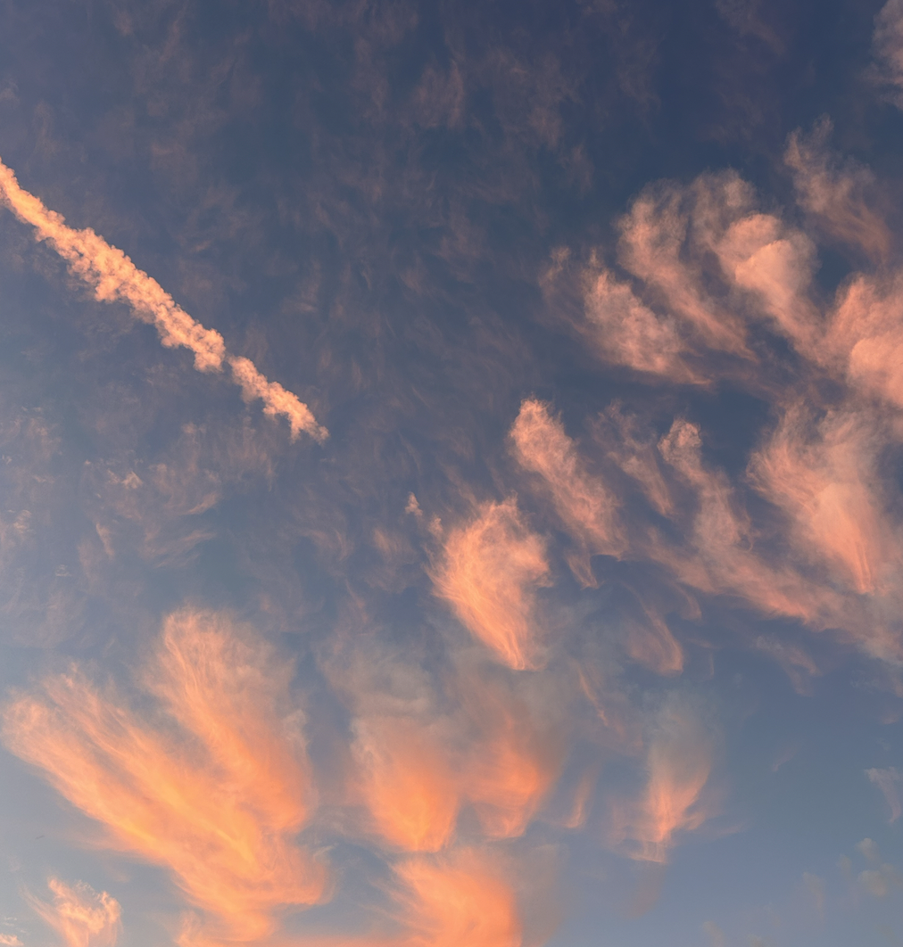 Day eight - fully alive