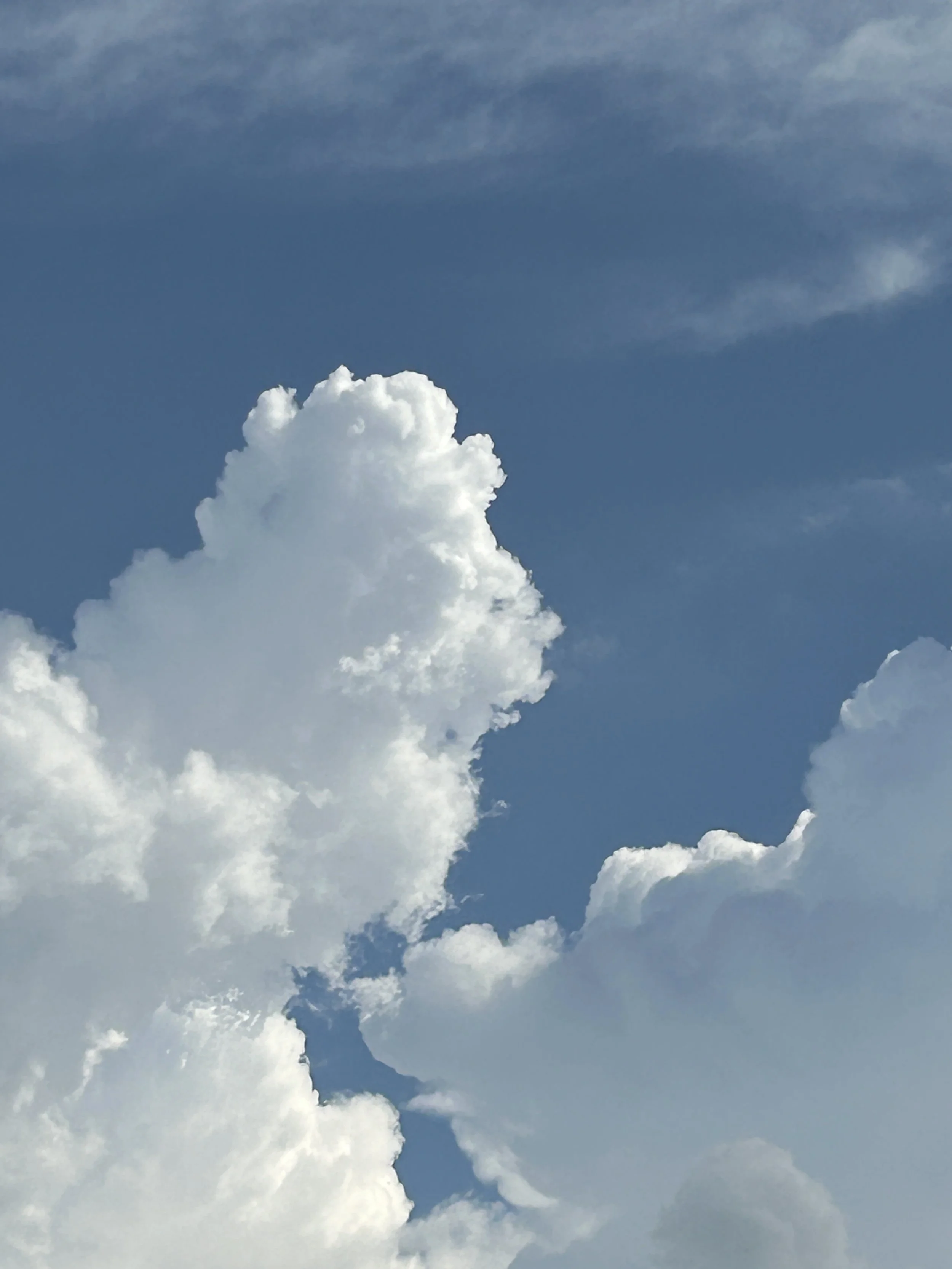 Day nine - dichotomy of authenticity