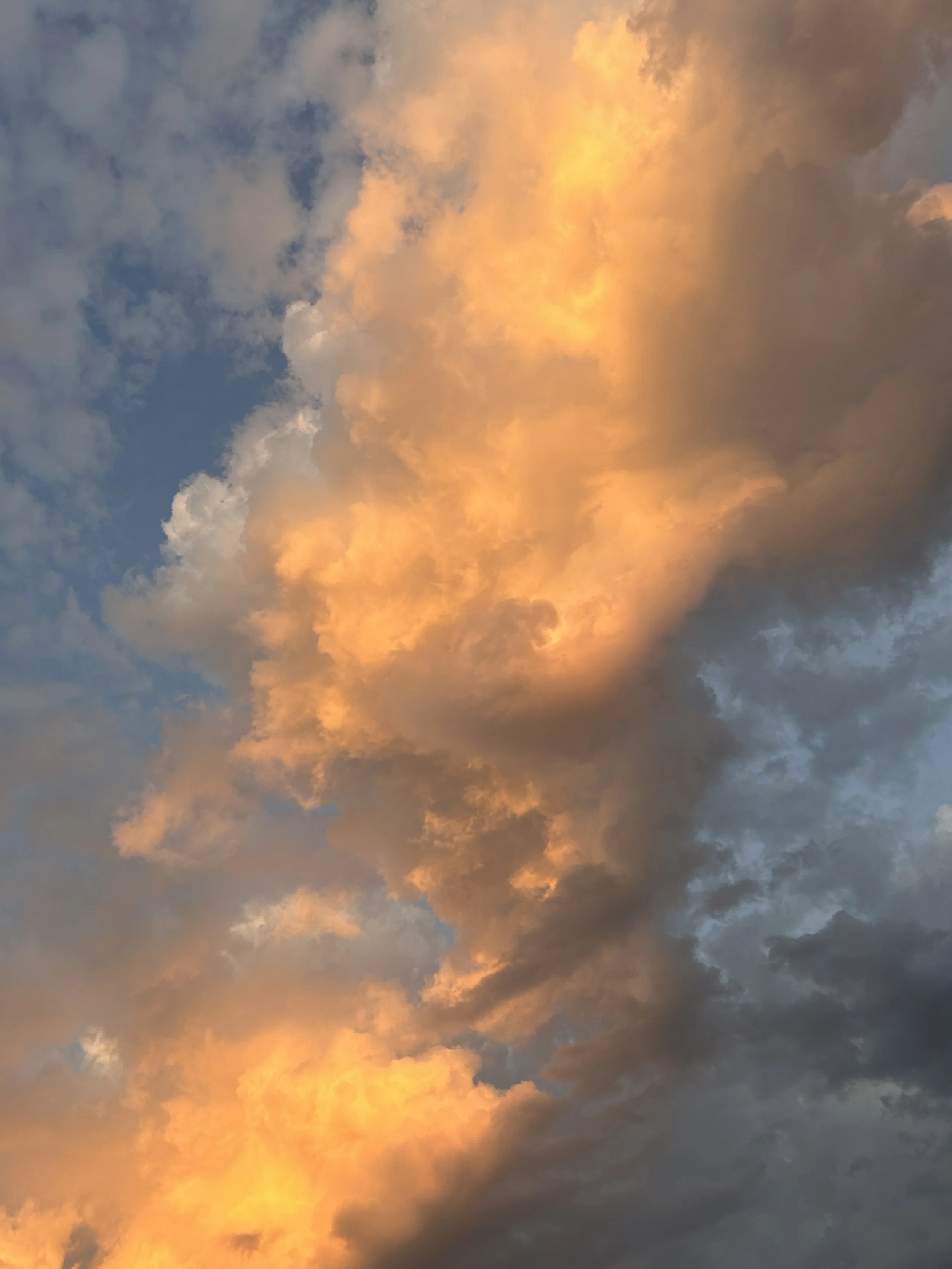 Day ten - the song that is your life