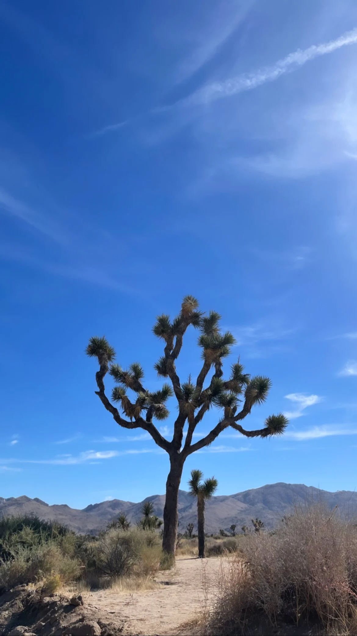 Day fifteen - conversing with desire