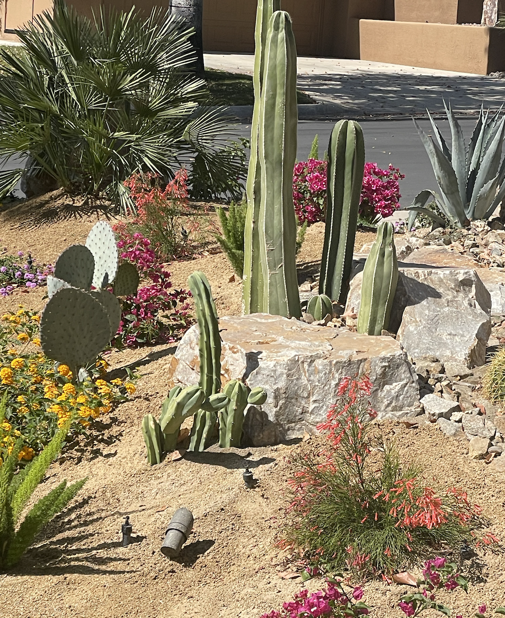 Day sixteen - my desires are guiding me