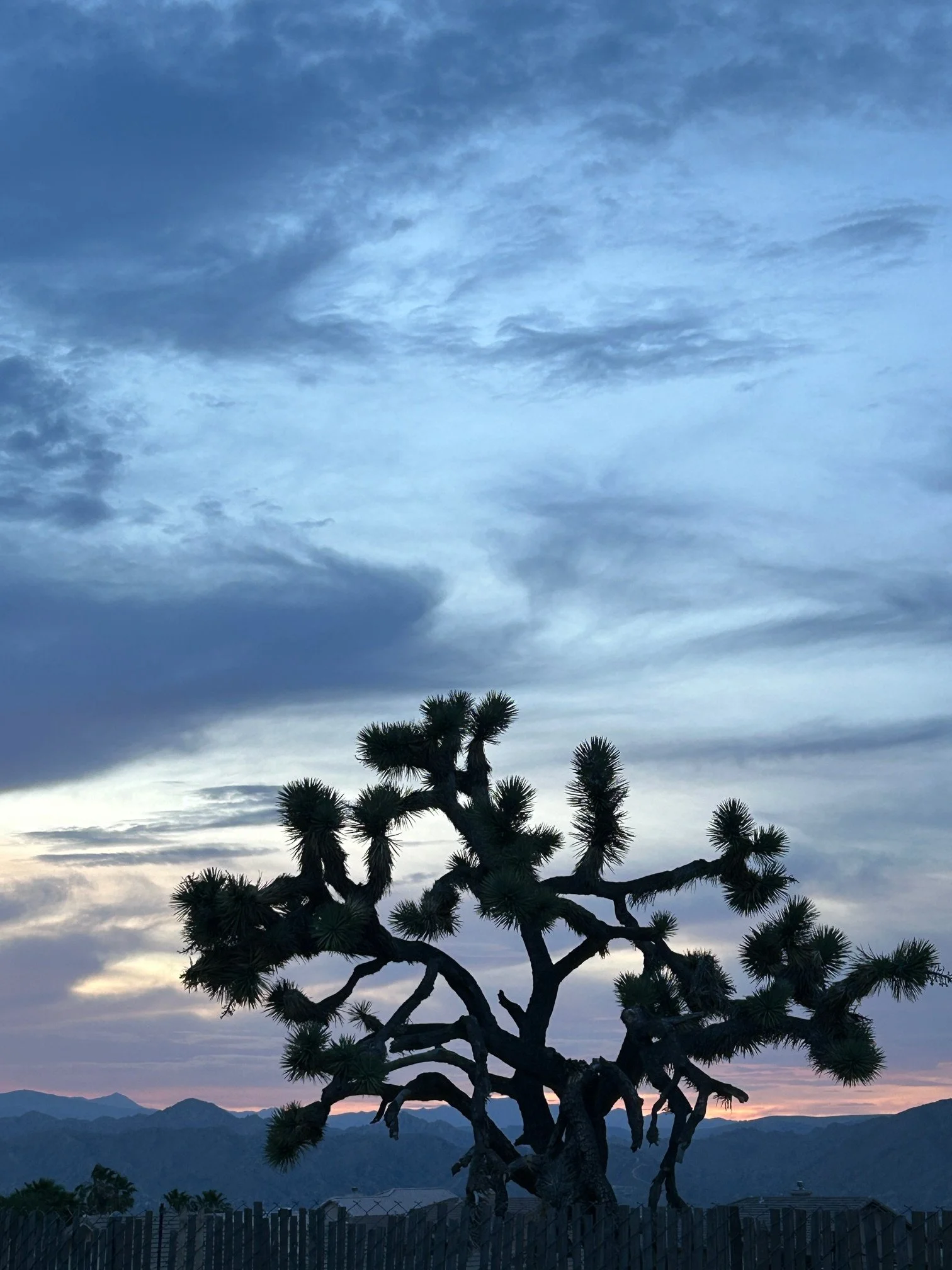 Day eighteen - I am desired