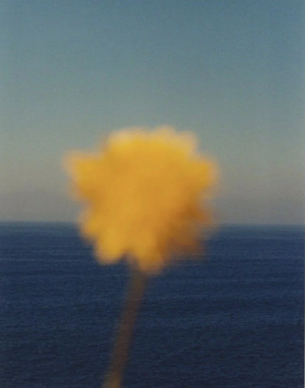 Accompanied Experience