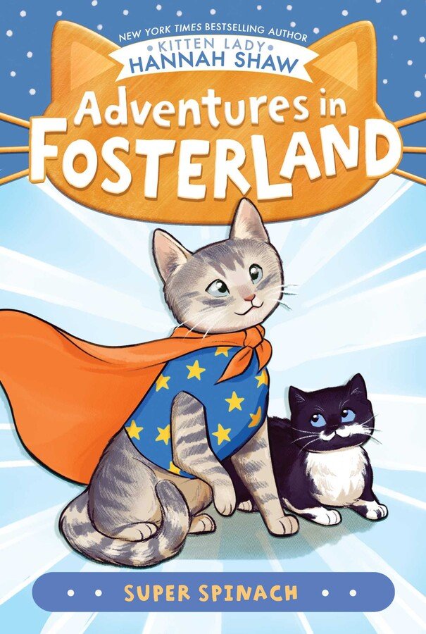 The second book in the Adventures in Fosterland series follows a sickly kitten who wants to be a superhero for her fellow fosters.