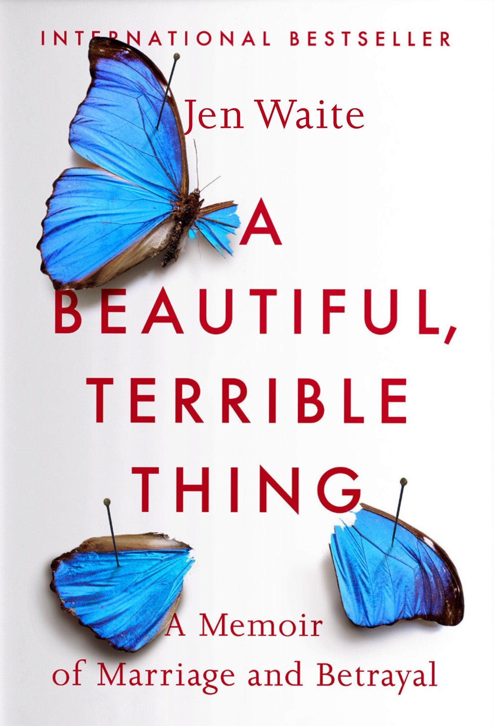 13_Waite_A beautiful terrible thing.jpg