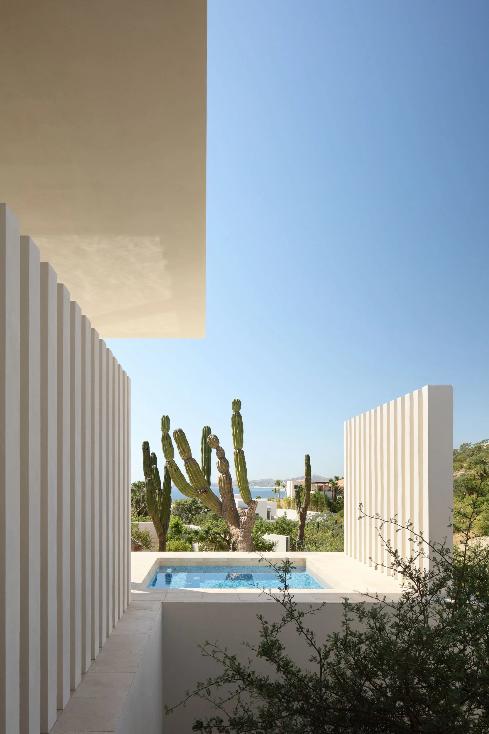 CamposStudio_Laguna2_0504.jpg