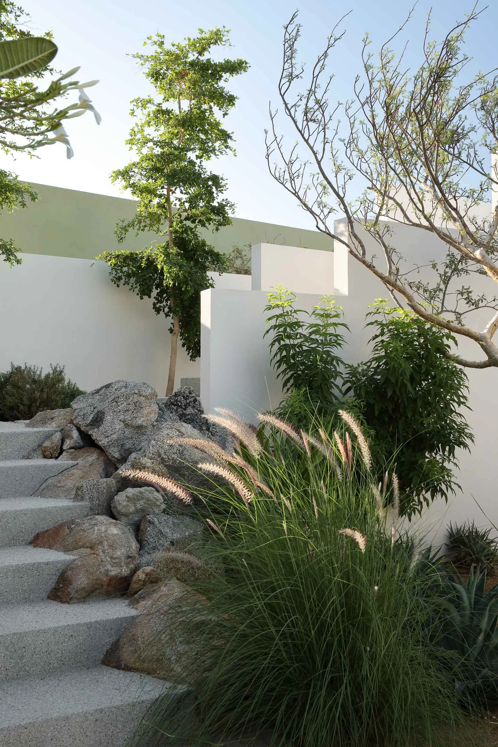 CamposStudio_Laguna2_0070.jpg