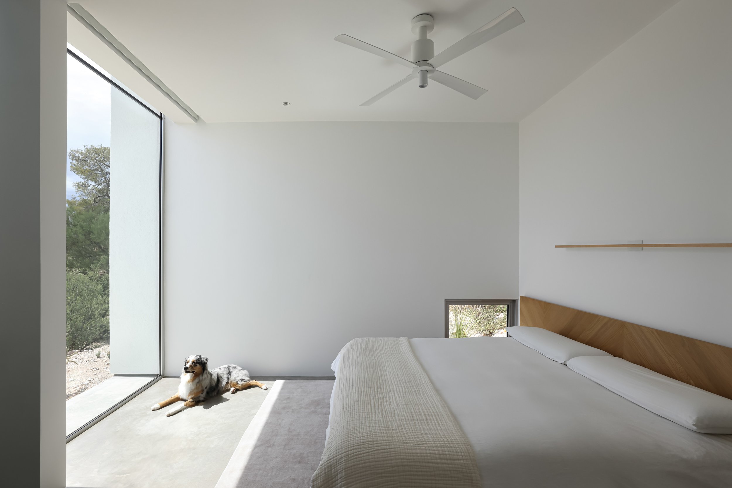 HK_TheRealHouse_1789.jpg