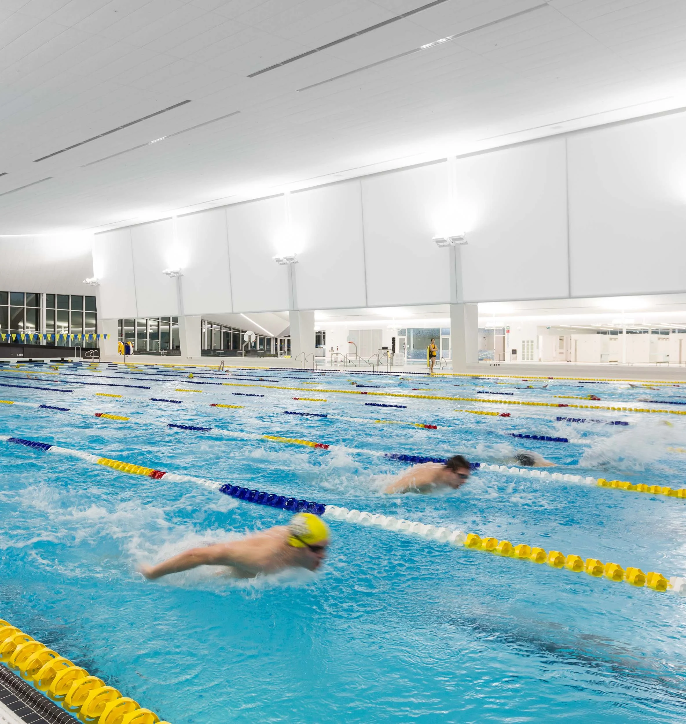 ActonOstryMJMA_UBCAquatics_2510.jpg