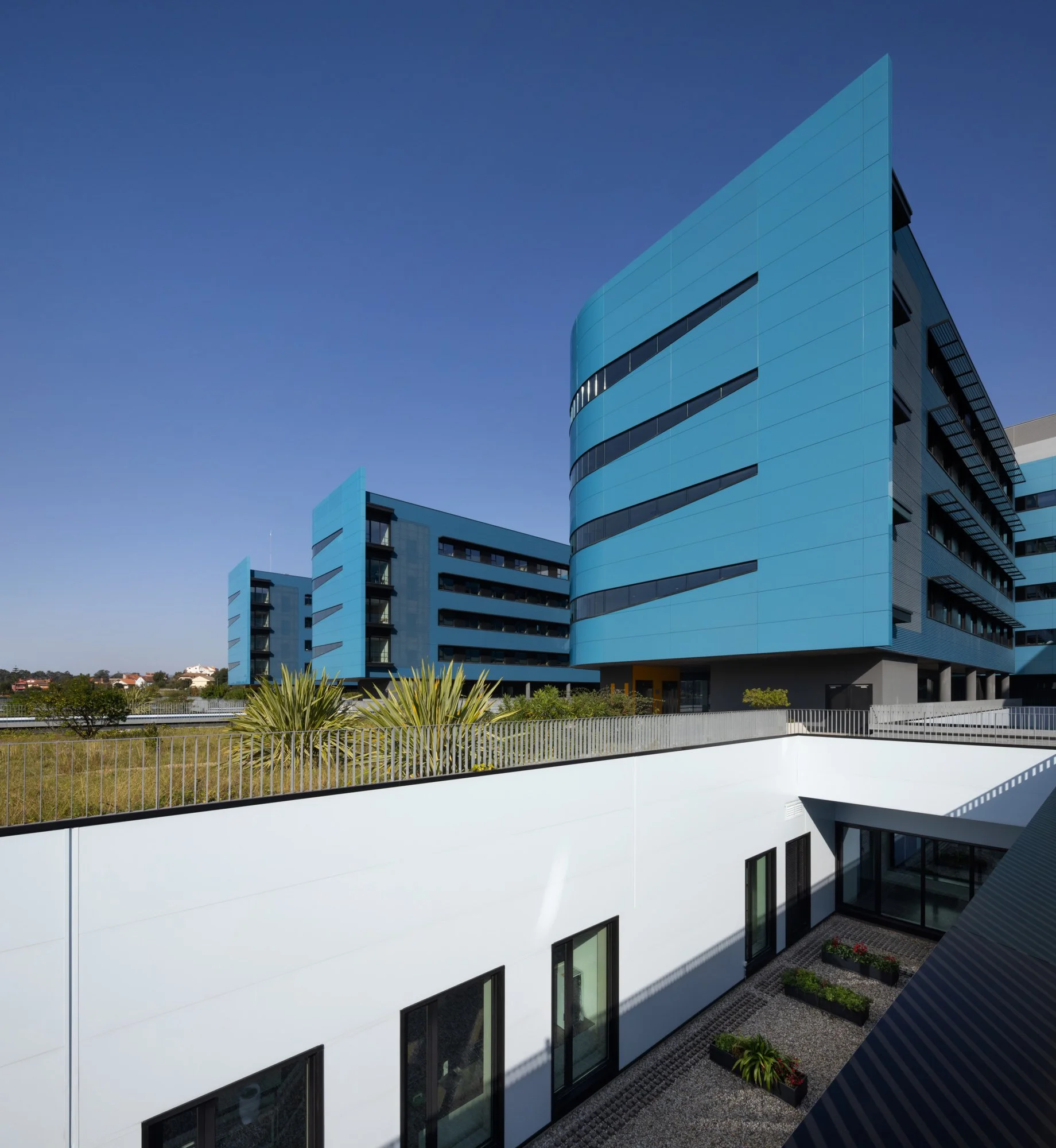 13-LuisVidal_Vigo_1280 Panorama.jpg