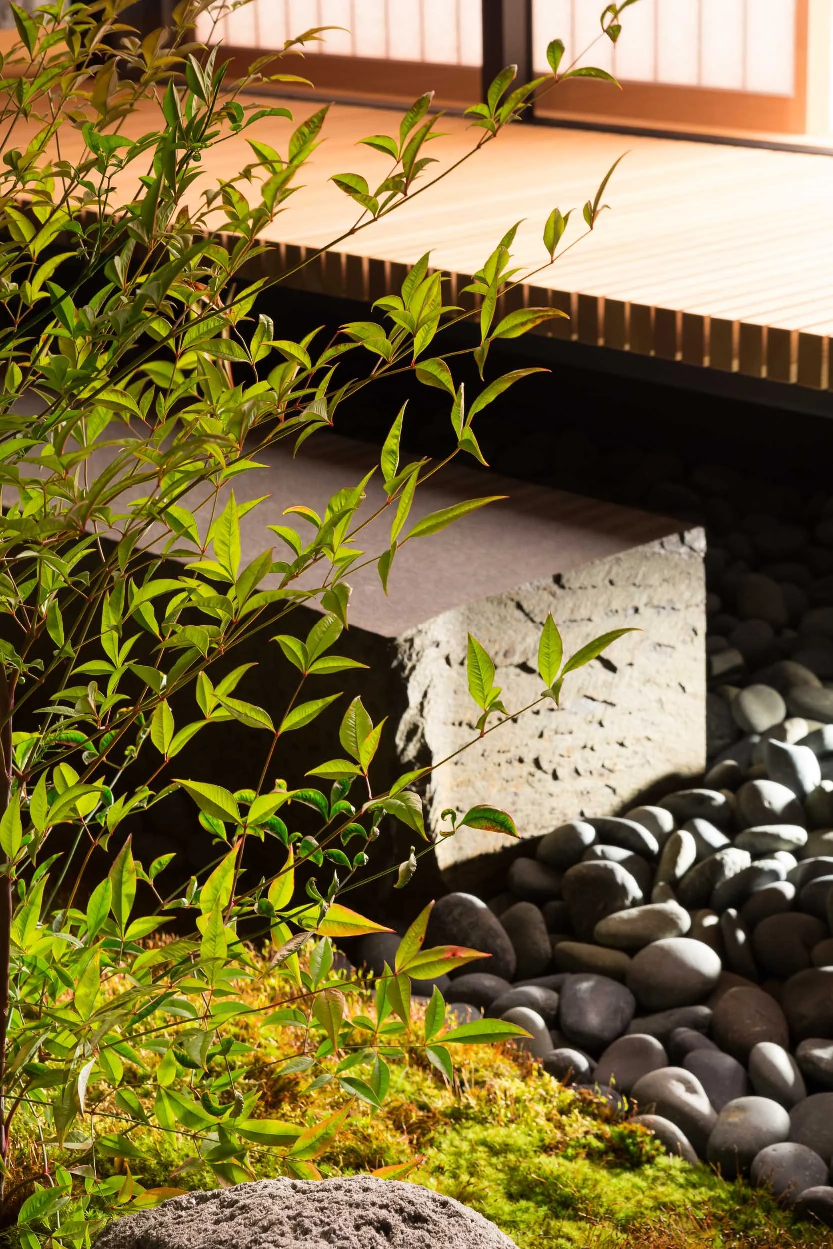 KengoKuma_TeahouseVan_1010.jpg