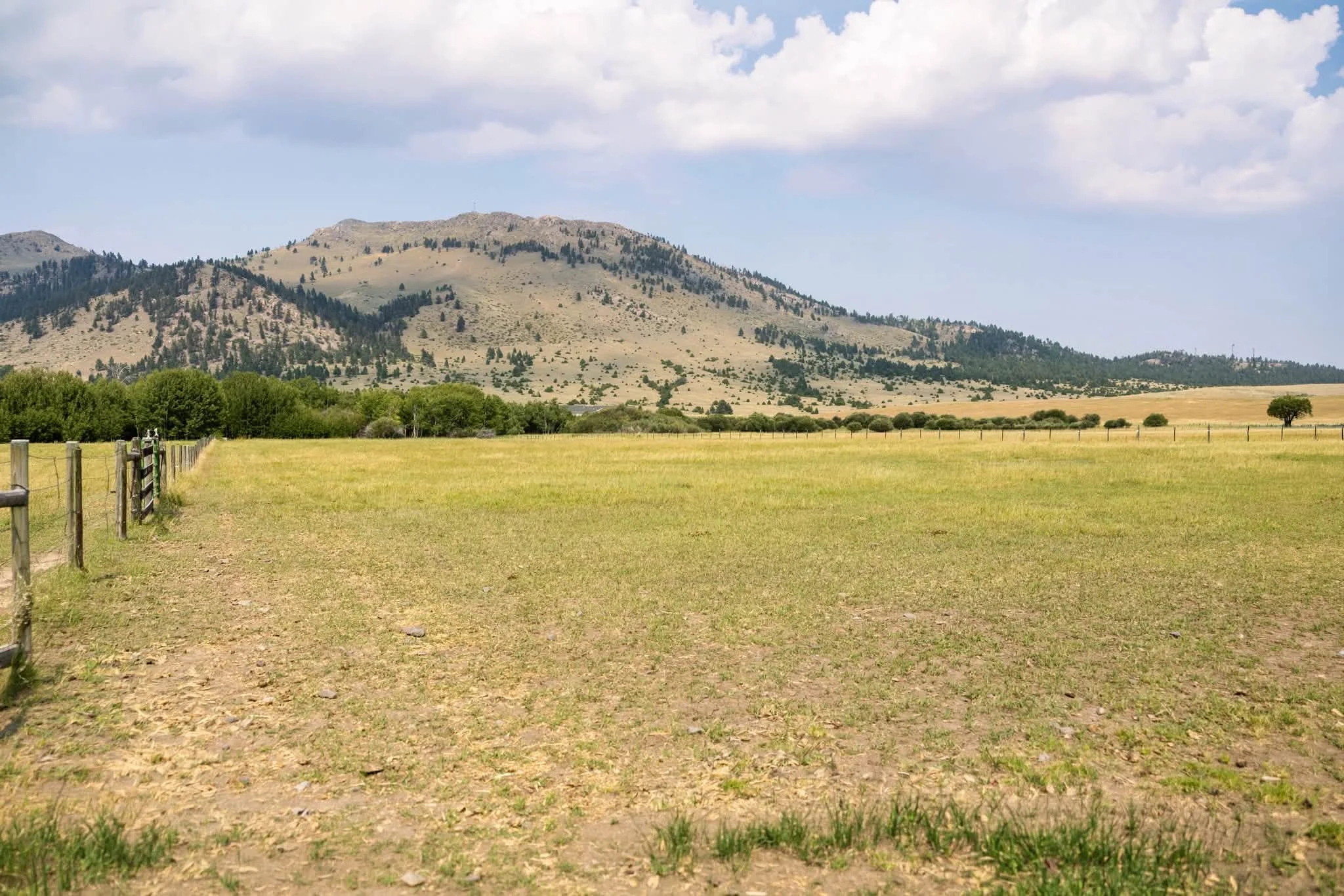 pasture.jpg