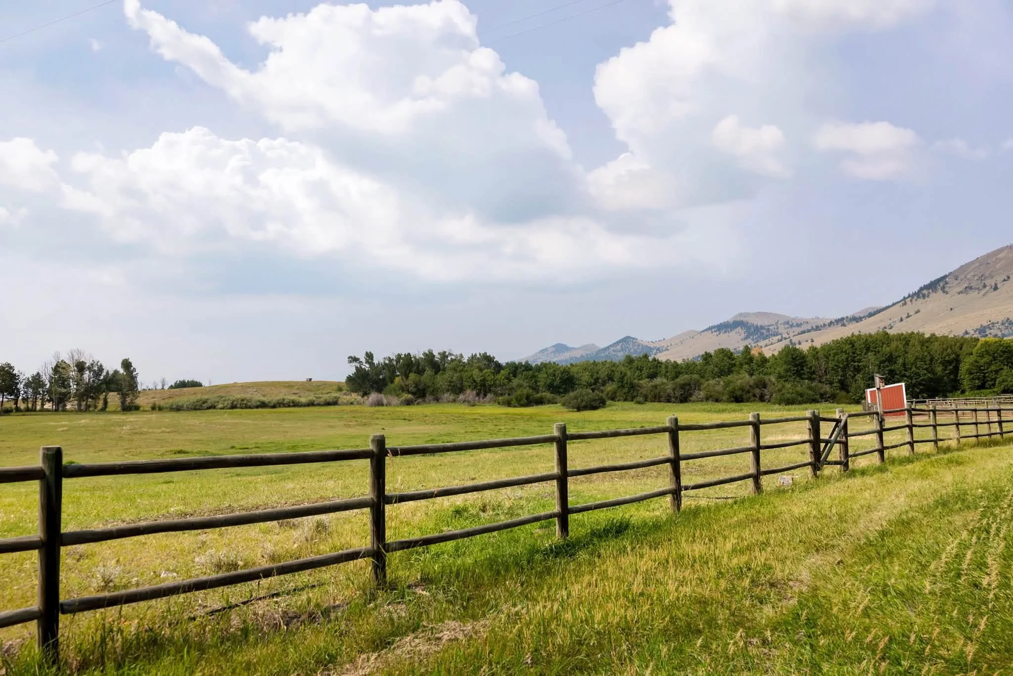 fields.jpg