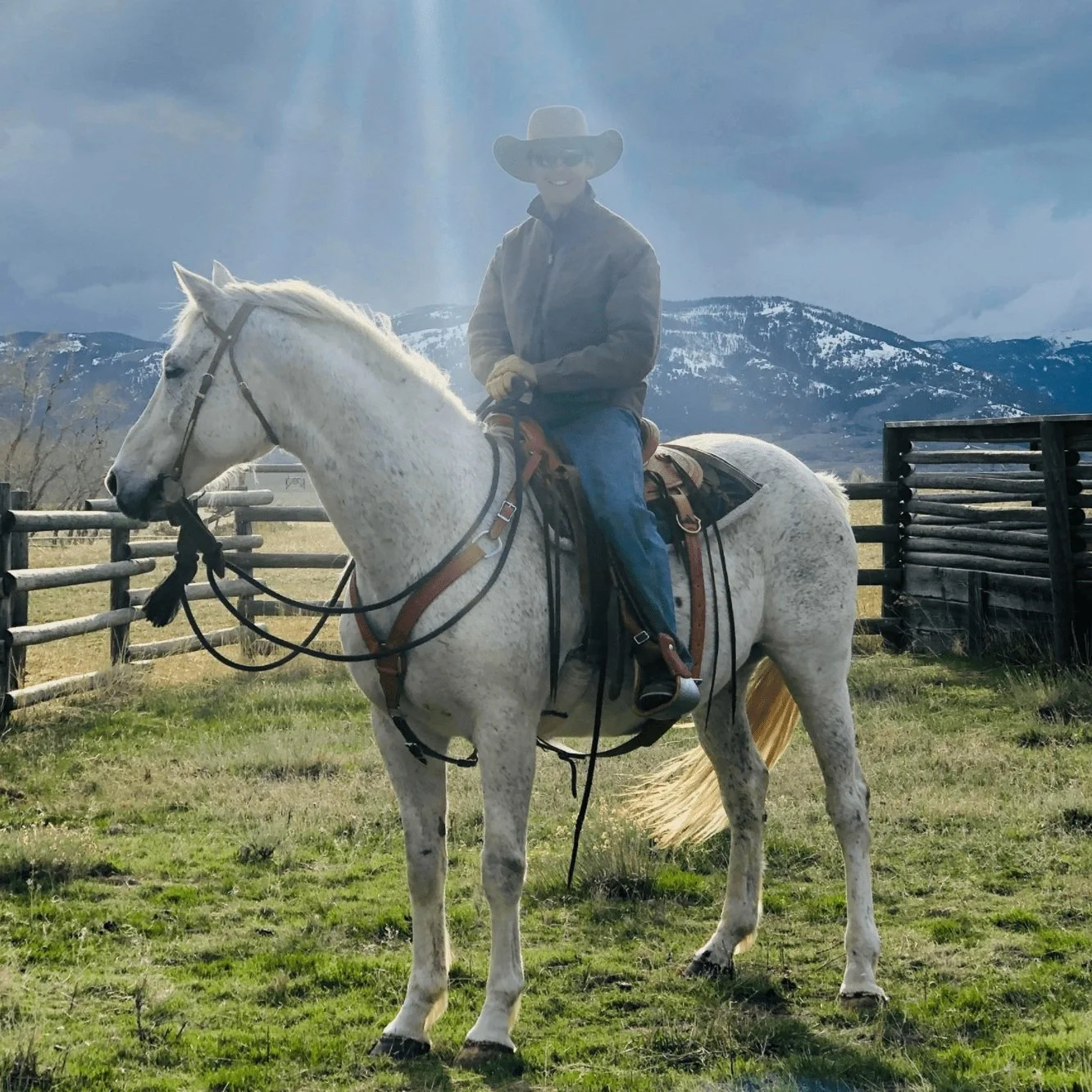 Grazier Performance Horses