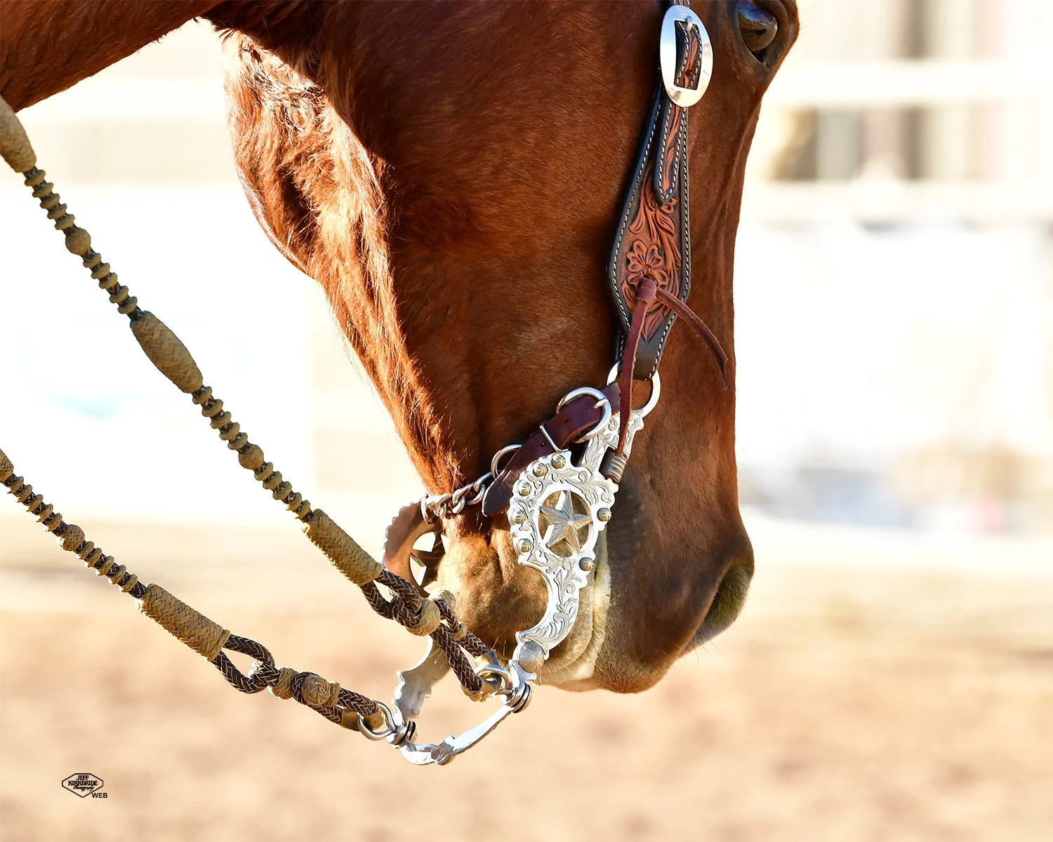 grazier-horses-bit.JPEG