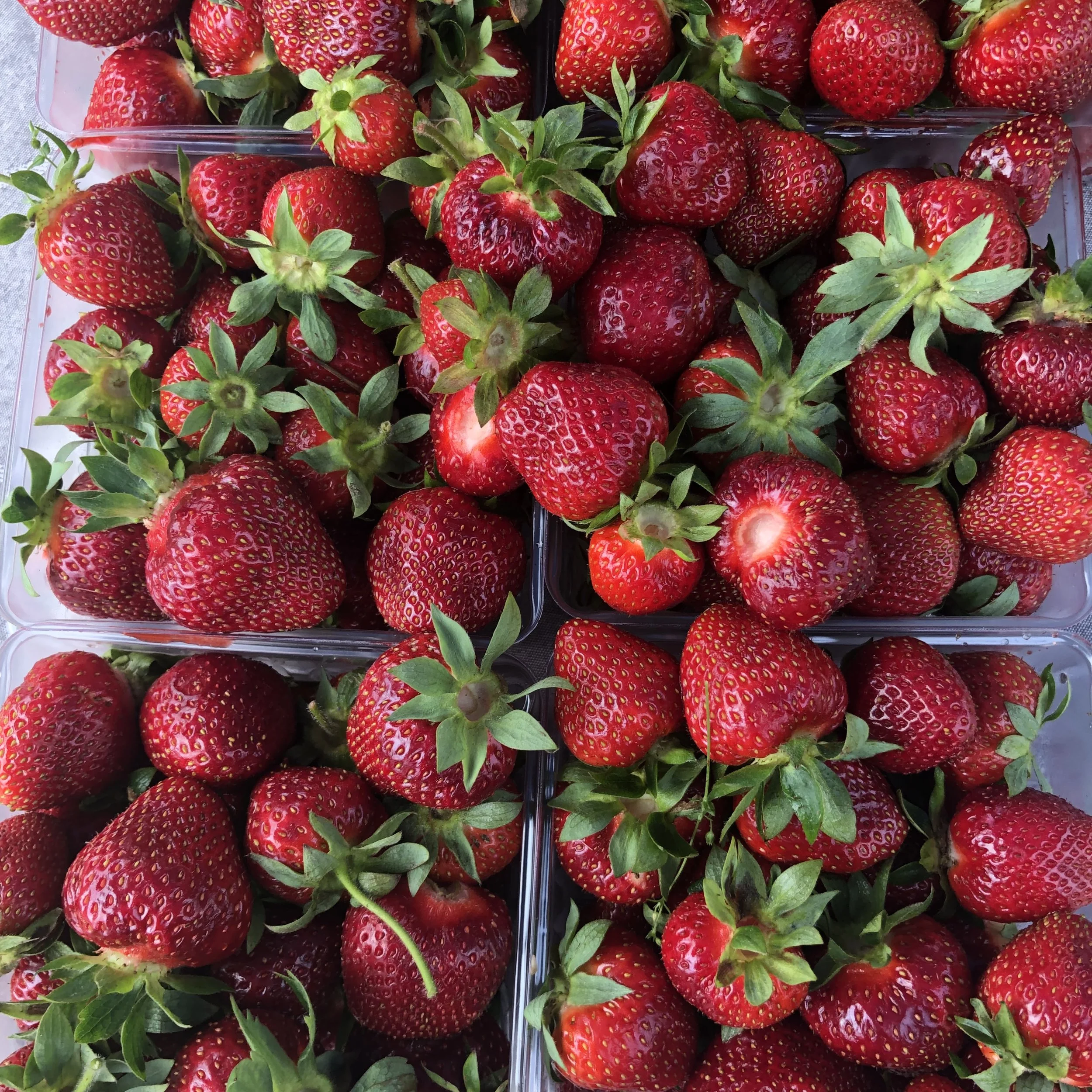 Our Vendors — Elberta Community Farmers Market