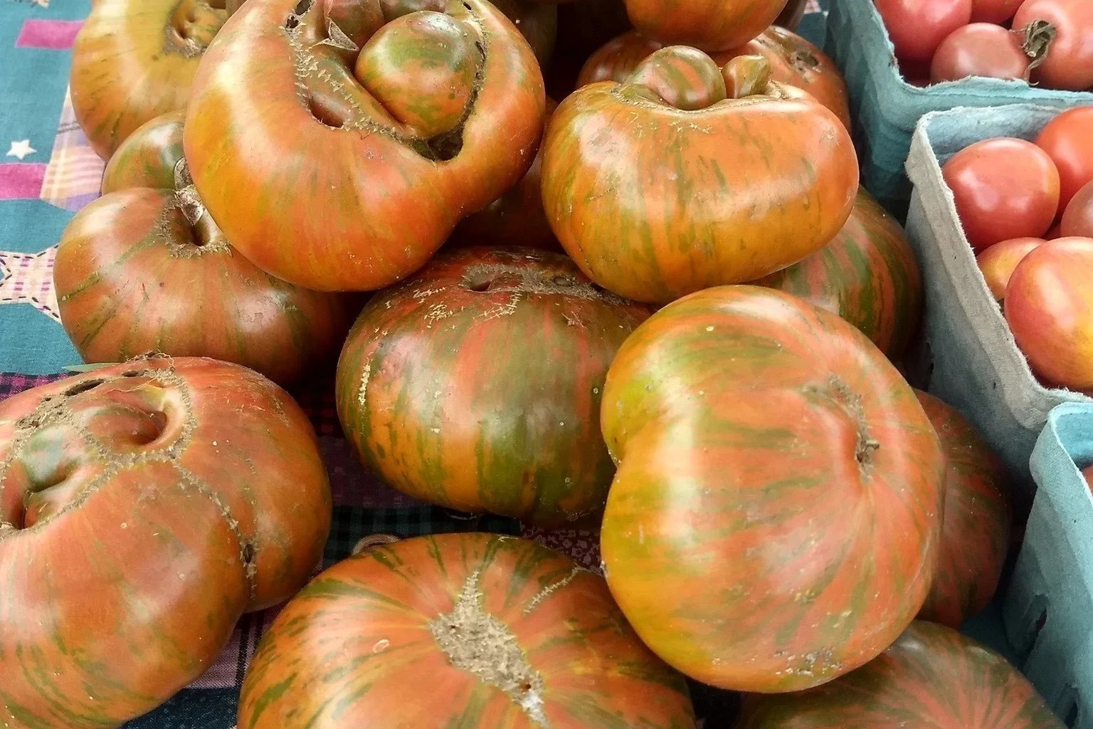 About The Market — Elberta Community Farmers Market