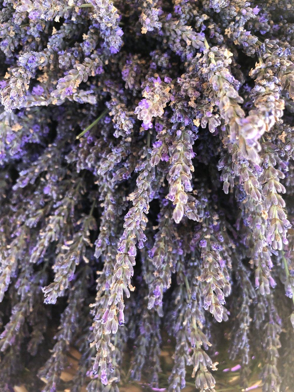 About The Market — Elberta Community Farmers Market