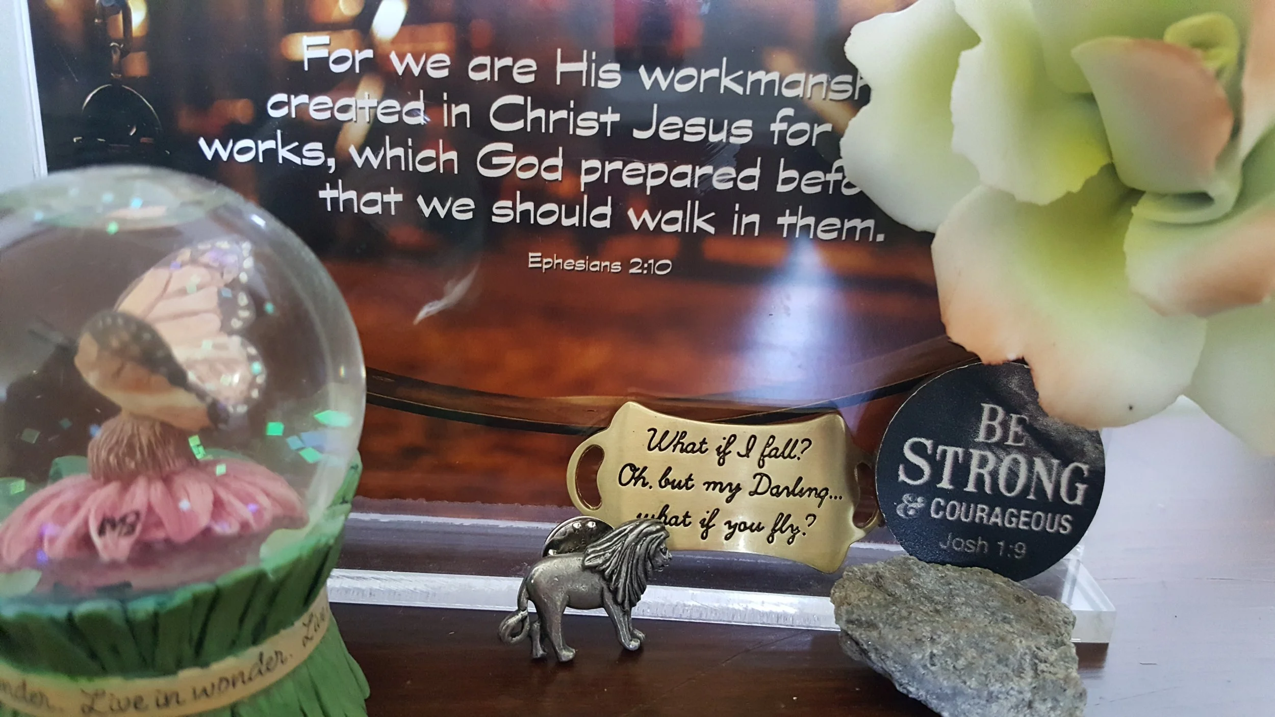 20170722_151120.jpg