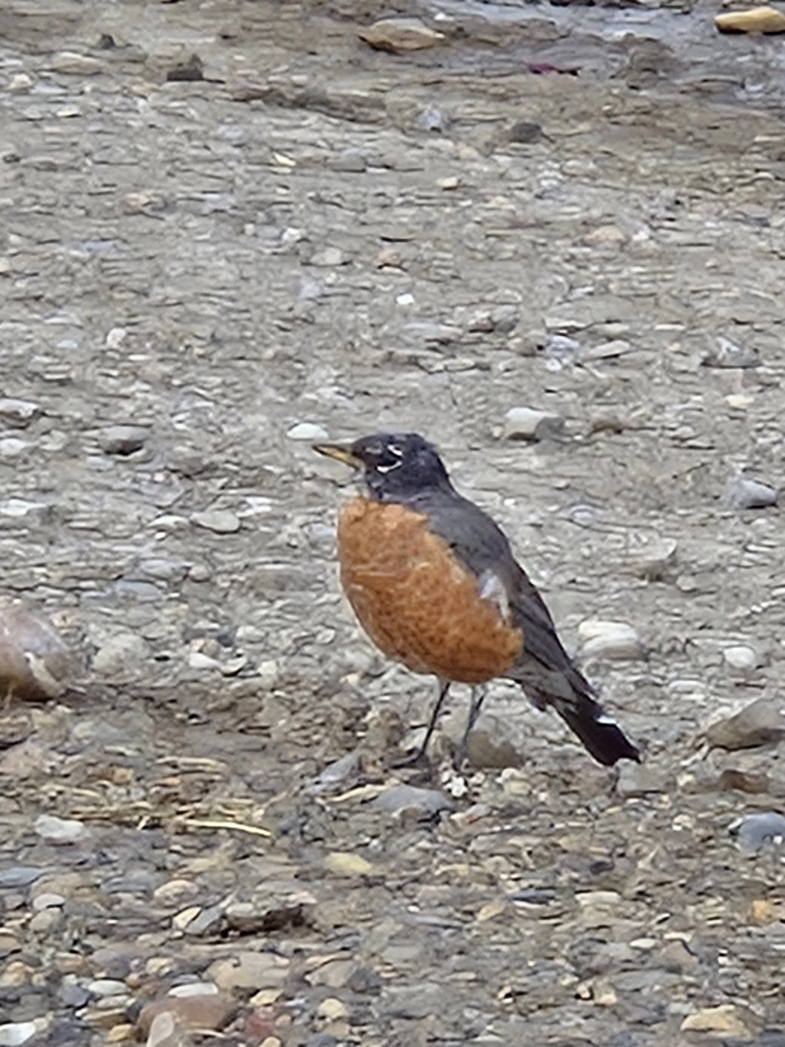 20250907_091821 - Copy.jpg