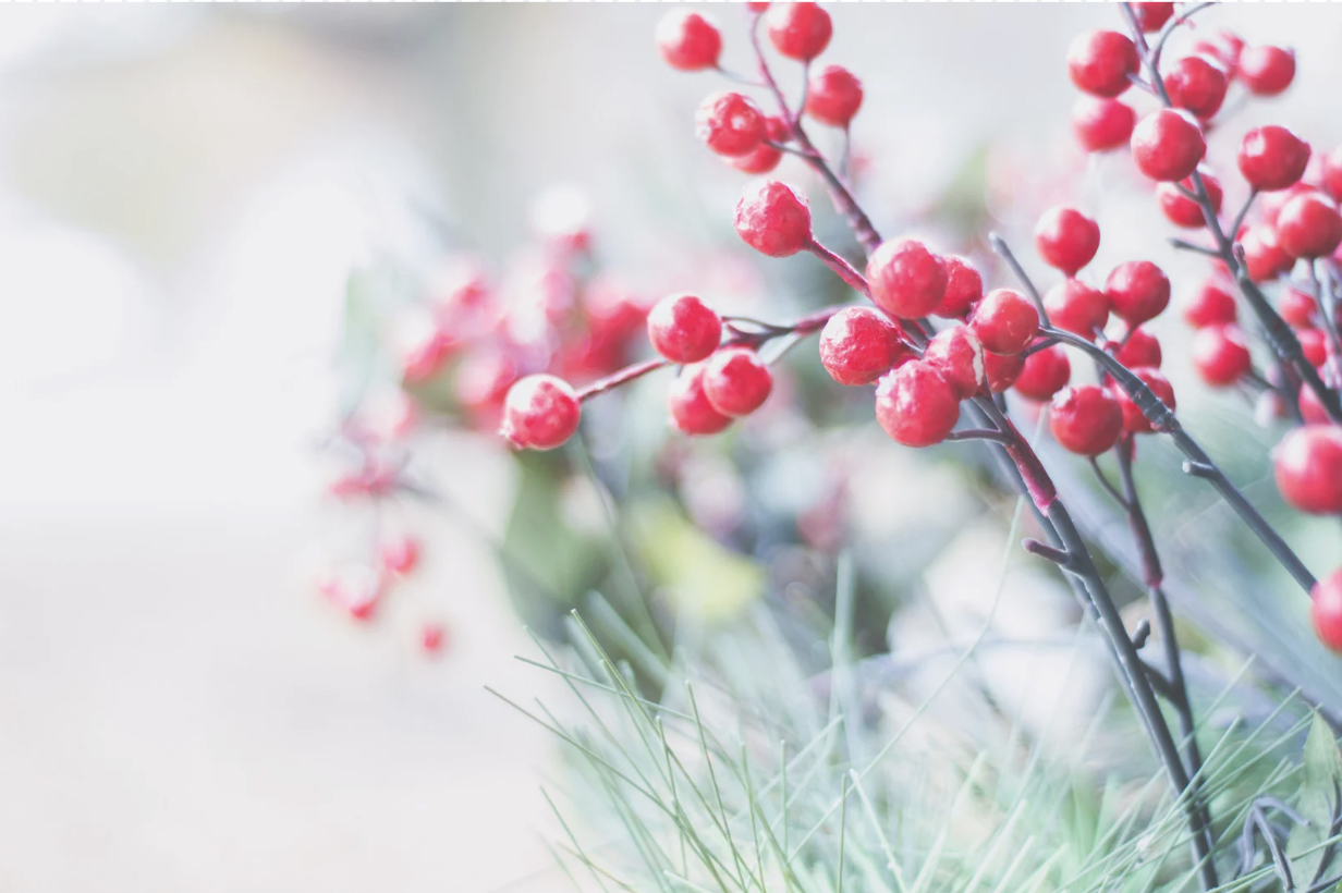Promoting Positive Body Image During the Holidays