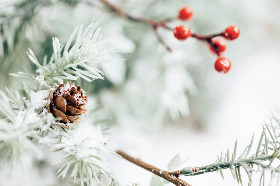 5 Tips for Managing Your Mental Health During the Holiday Season
