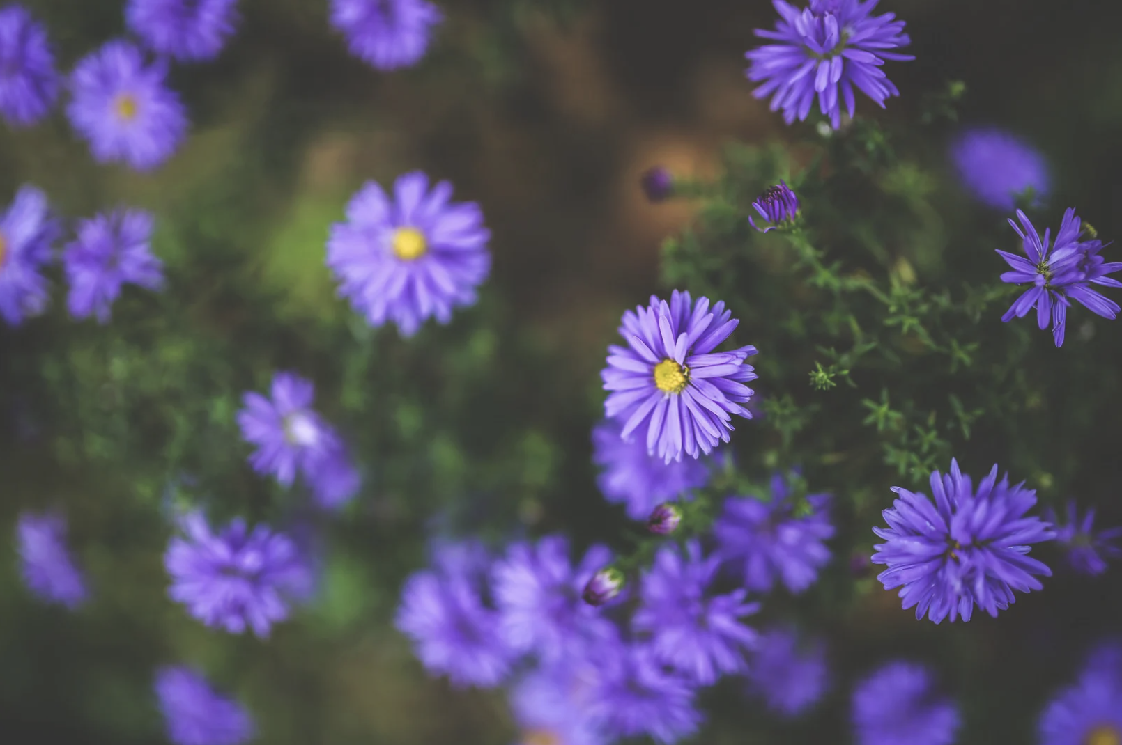 How to Build Healthy Habits in the New Year