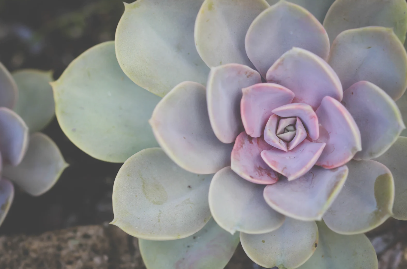 Tips to Build Self-Confidence in 2026