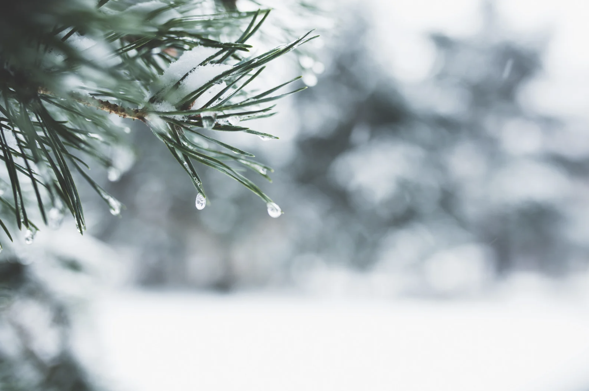 How to Combat the Winter Blues