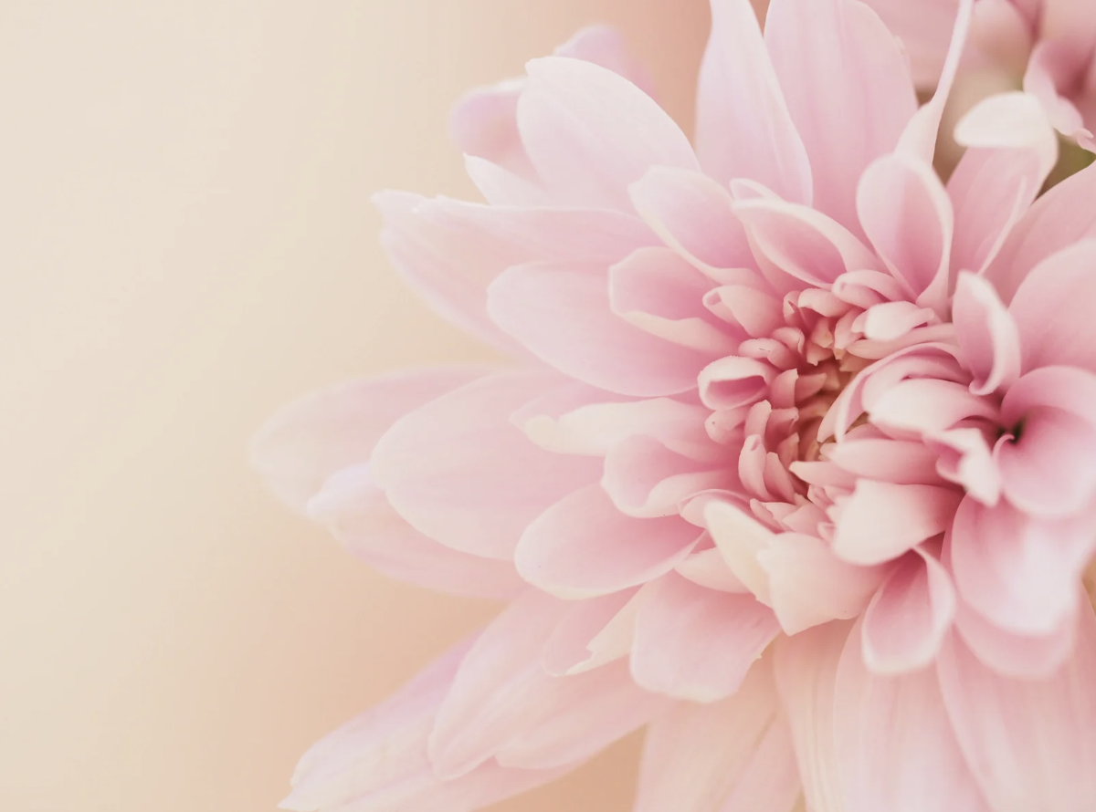 Everything Women Need to Know About Mental Health