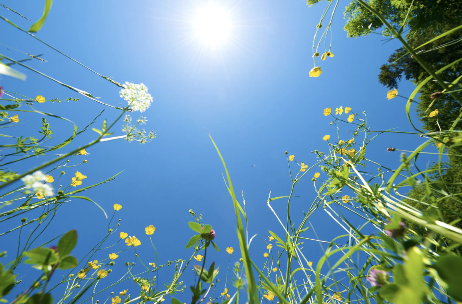 How to Maintain Healthy Routines During the Summer Months