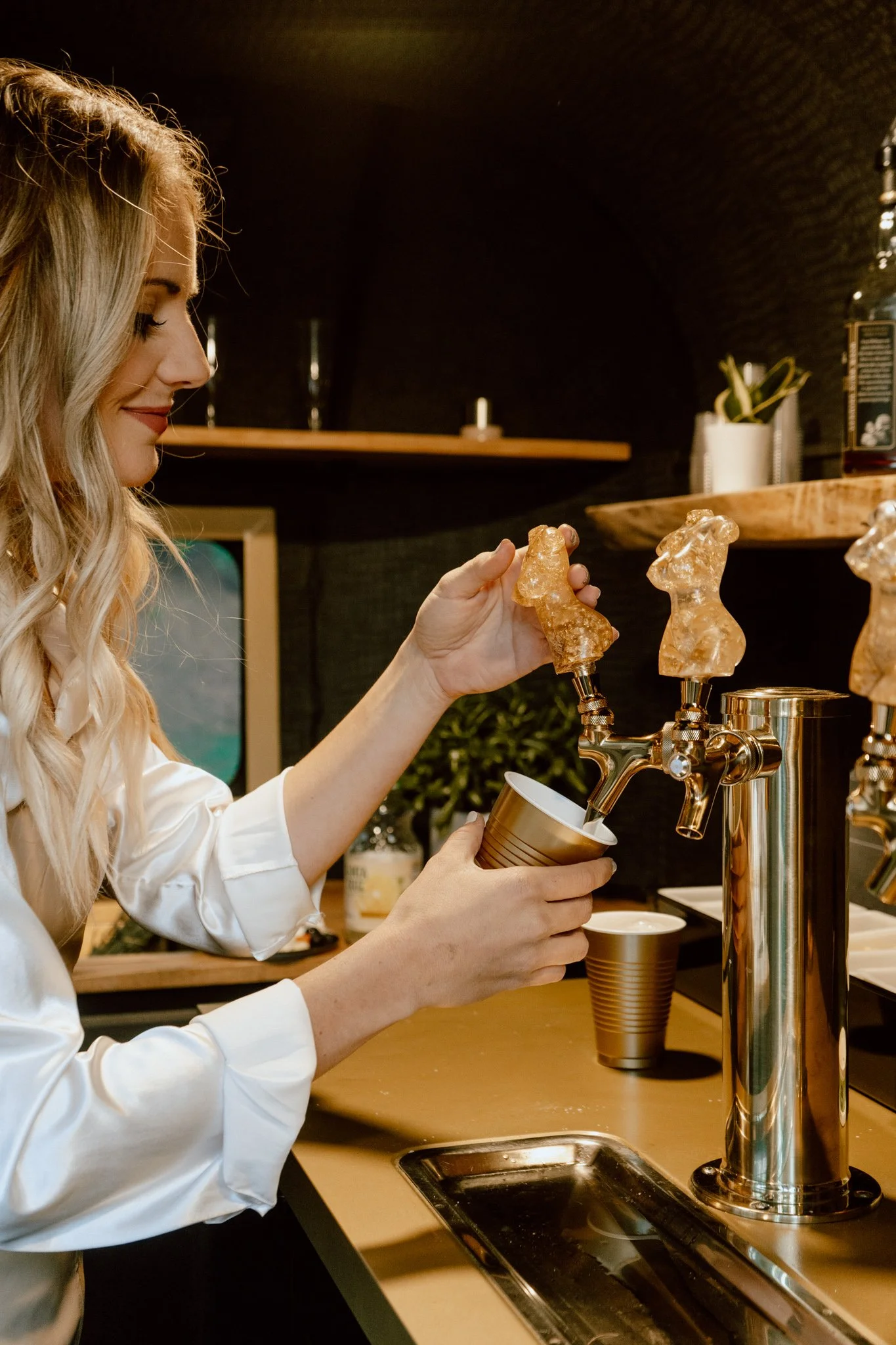 Mobile Bartending Service Dayton