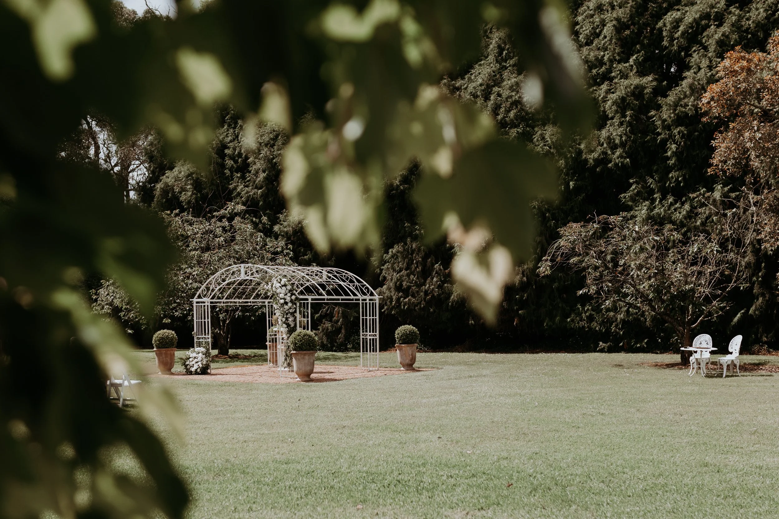 A garden scene with a white decorative arch decorated with flowers, large potted plants on either side, surrounded by trees and greenery, with white chairs and a table in the distance.