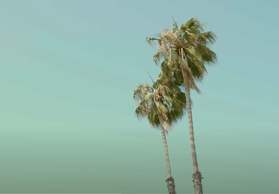 Screen Shot 2022-06-12 at 1.41.52 AM.png