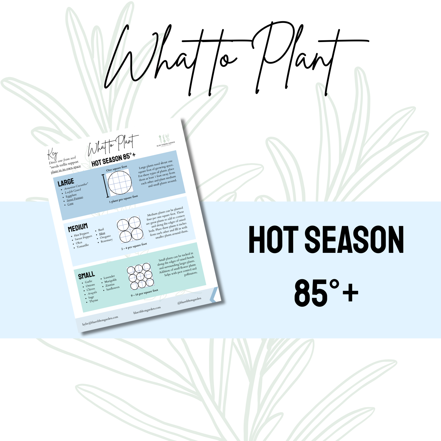Hot Season Planting Guide