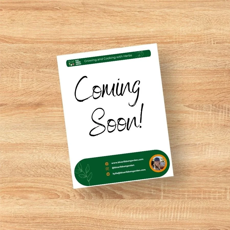 Coming Soon.jpg