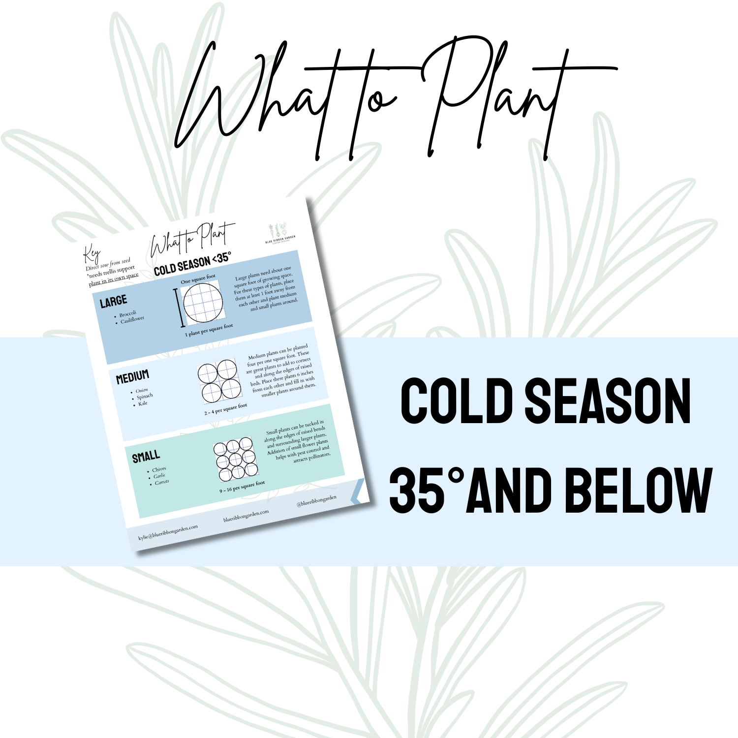 What to Plant Thumbnail.png