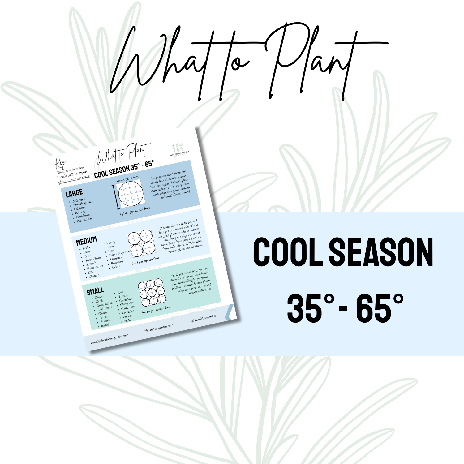 Cool Season Planting Guide