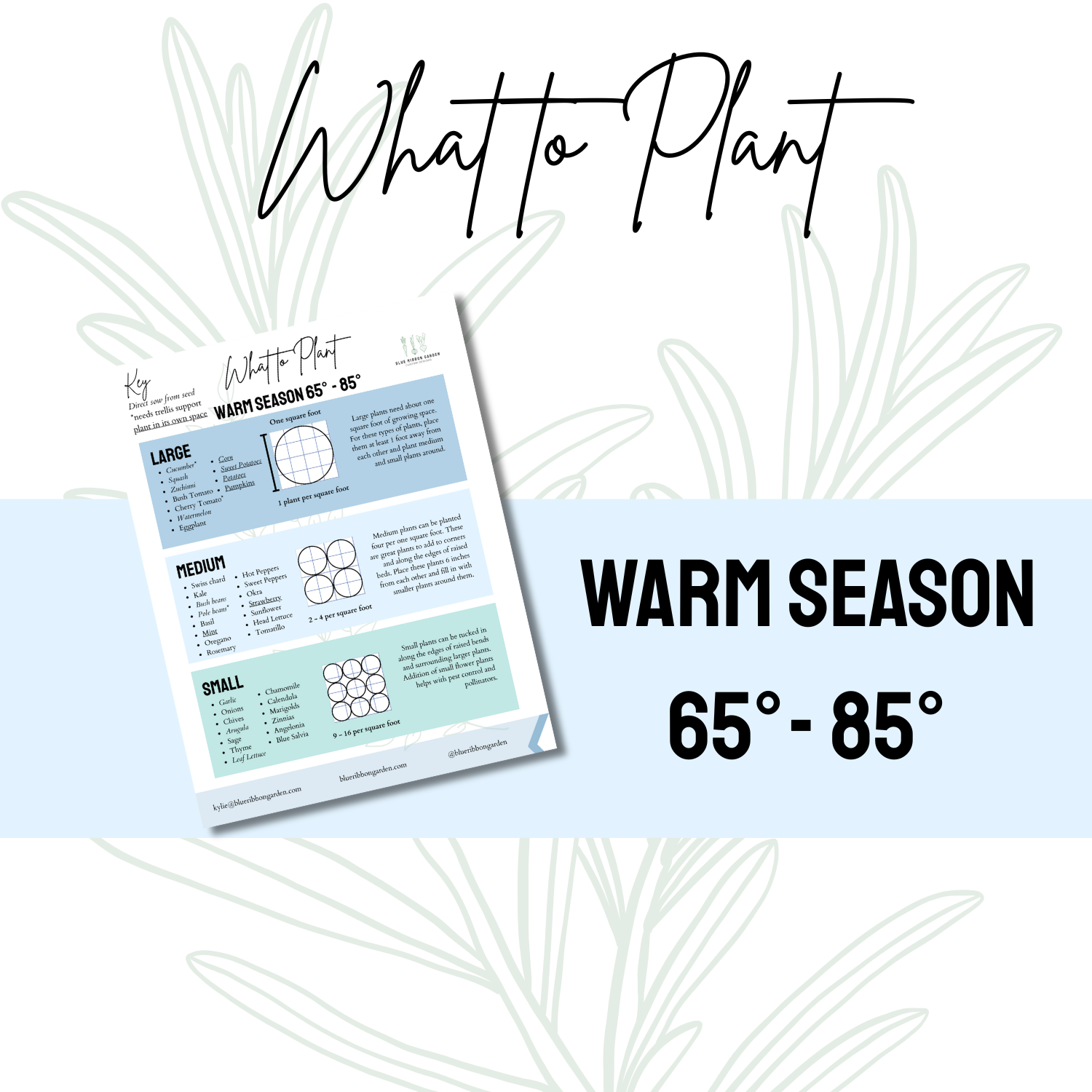 Warm Season Planting Guide